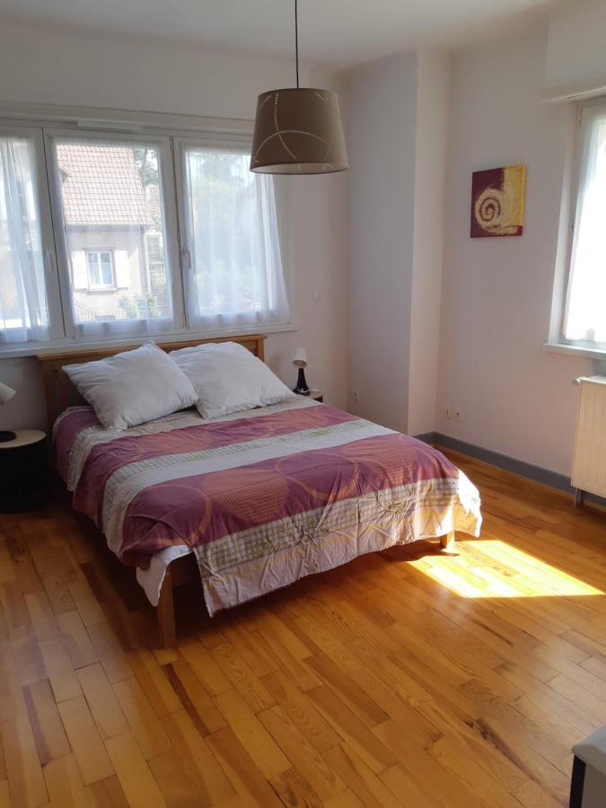 Villa/Appartement Au Coeur Des Vignes *** Barr Zewnętrze zdjęcie